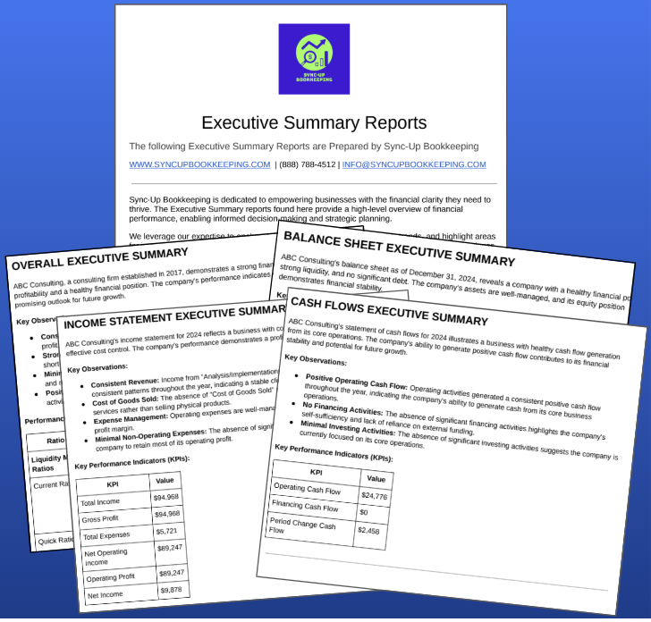View of executive summary, income statement, balance sheet, cash flow statement
